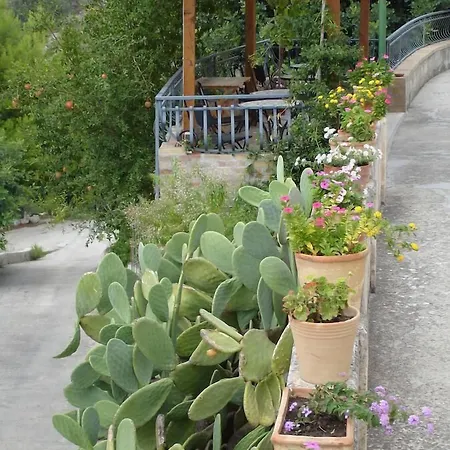 La Suma Sumalia-3
